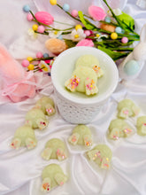 Load image into Gallery viewer, Spring Morning Dew 'Cotton Tails'