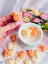 Load image into Gallery viewer, Coconut & Mango 'Pretty Minnies'