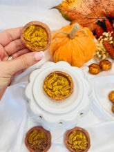 Load image into Gallery viewer, Spiced Gingersnap 'Squirrel Disc'
