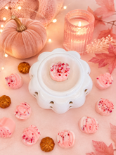 Load image into Gallery viewer, Autumn Raspberry &amp; Amber Rose 'Pumpkins'
